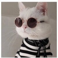 Ảnh Đại Diện RUavailable29