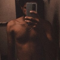 SubmittoBBBC webcam model