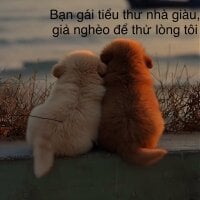 Mr_Gaaus' Avatar Pic