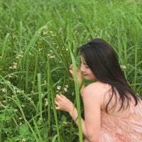 Bee_Yellow00Live Webcam