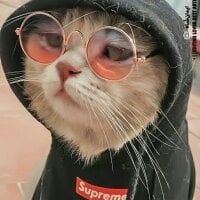 Wup_wup's Avatar Pic