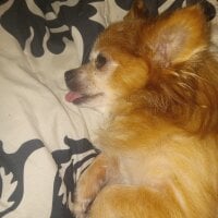 Imagem de avatar de Trav0213