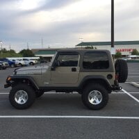 beartree 아바타 사진