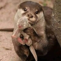 Smiles1964's Avatar Pic