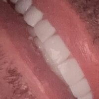 Paunormalbrasil's Avatar Pic