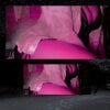 hunny-bunny35