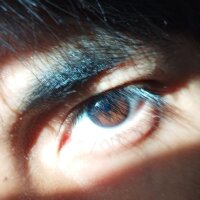 RaulAvero's Profile Photo