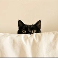 Youyoubaobei's Profile Pic