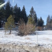 Carlosenrique29のアバター写真