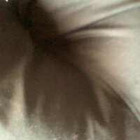 yourcummingdad webcam