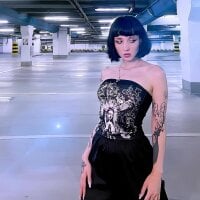 HollyVex