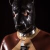 KatheterDOG