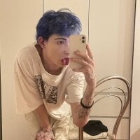 Your_avatar webcam