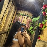 bbx1429 webcam
