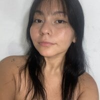 ariel_brake