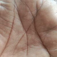 Foto del avatar de mohan555