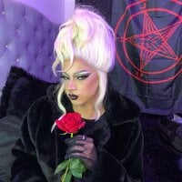 Model _CINAMON_13_