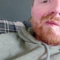 FreddieFeet 离线聊天室