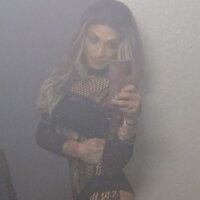 savvyswallows1 webcam