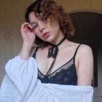 Seika_ webcam model