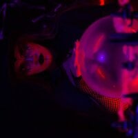 Celeste_Biig's Profile Pic