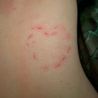 bearbunny's Offline Chat Room