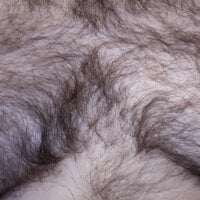 hairyboihard model avatar