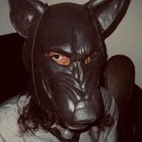 dangelosinzhz webcam