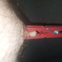 nippletortute webcam