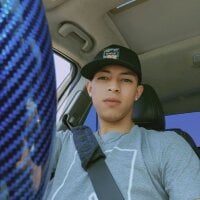 Модель Yoko0381