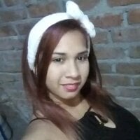 Nallelys webcam model