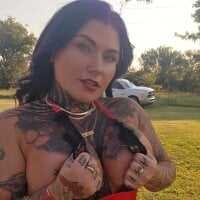 ventressink webcam model