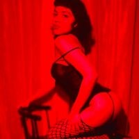 Curious_kitten_Live Webcam