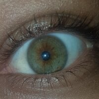 toymen32's Offline Chat Room