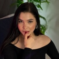 VikaVox webcam model