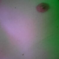 Dorfy12 avatar