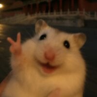 Rabanito-Rabanito 아바타 사진