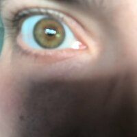 hartsteinpflaster webcam