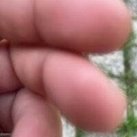 jul0311's Profile Pic