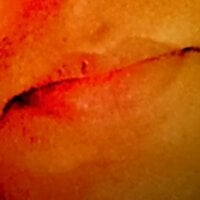 MyHeart_ webcam model