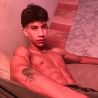 hares_mds webcam model