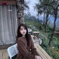 Spring-spring webcam model