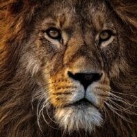 _Nikita_'s Profile Pic