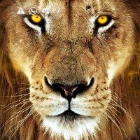 BiGBOY332222's Offline Chat Room