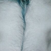 Anymasterking20 webcam