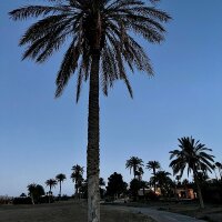 Mysweetsofie 님의 캠 모델 프로필 | Stripchat