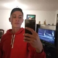 Sebaspansa17 webcam