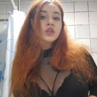 TeilaHex webcam model
