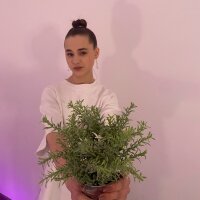 CharlenaHefel's Offline Chat Room