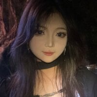 PHF666 webcam
